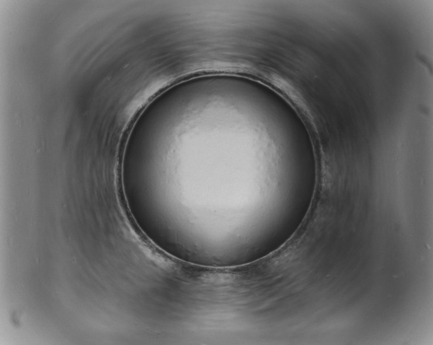 X0000101691237200807171428