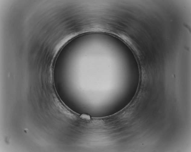 X0000101691238200807171428