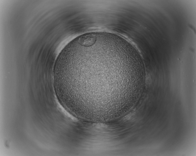 X0000101691239200807171428