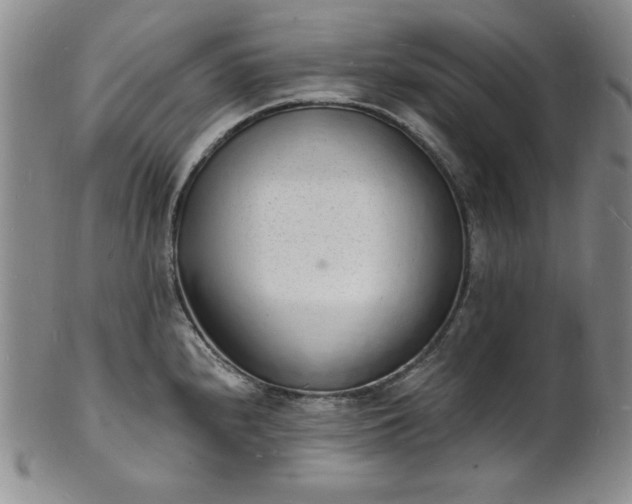 X0000101691240200807171428