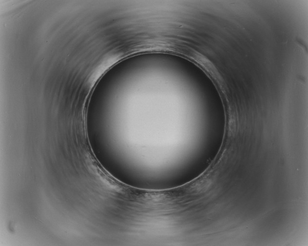 X0000101691242200807171428