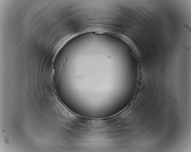 X0000101691244200807171428