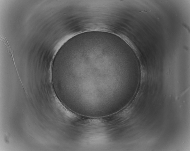 X0000101691246200807171428