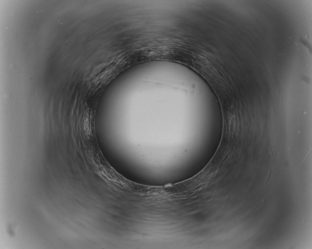 X0000101691250200807171427