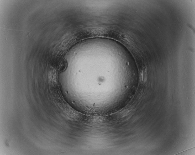 X0000101691251200807171427