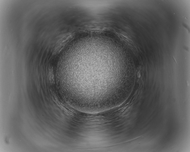 X0000101691252200807171427