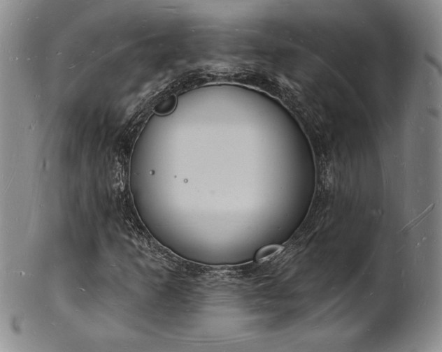 X0000101691253200807171427