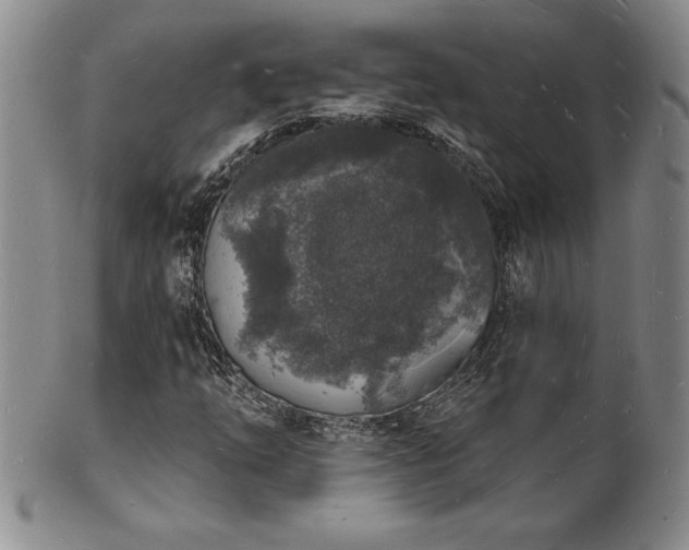 X0000101691254200807171427