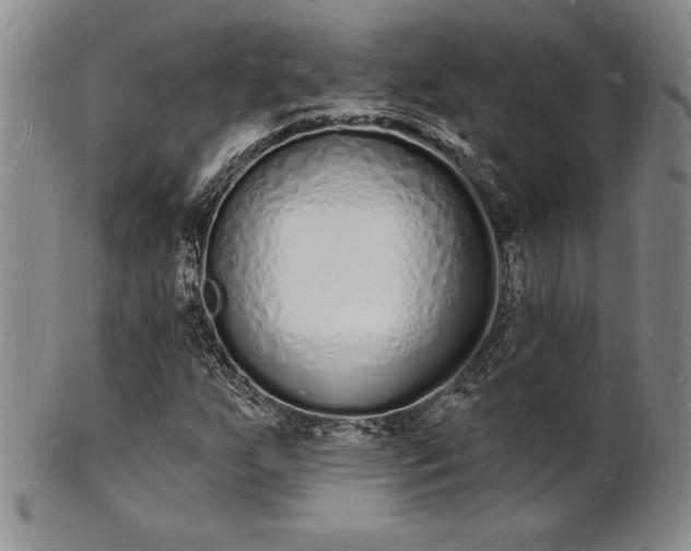 X0000101691255200807171427