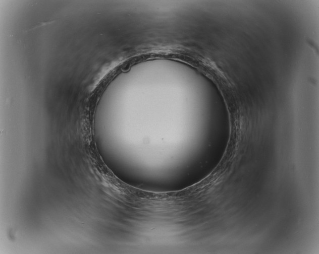 X0000101691256200807171427