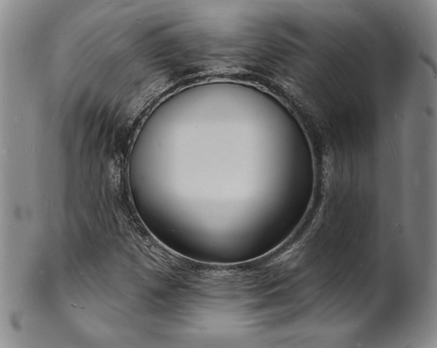 X0000101691257200807171427