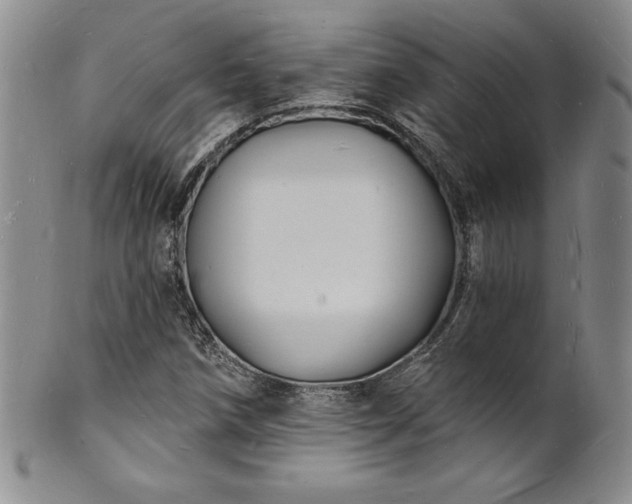 X0000101691258200807171427