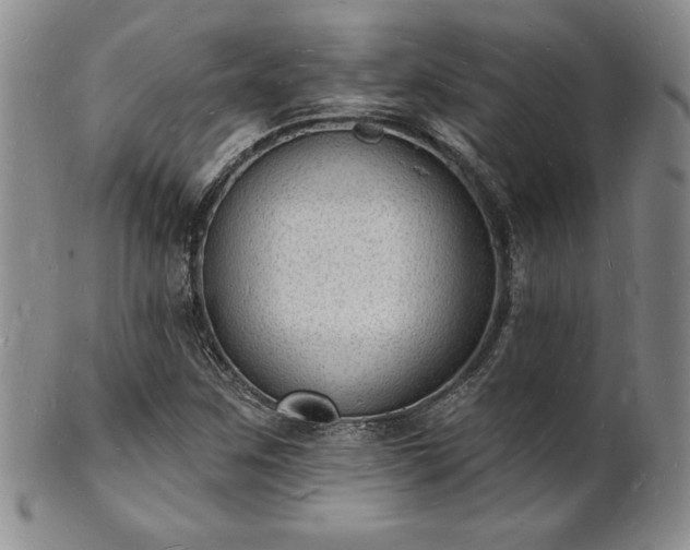 X0000101691259200807171427