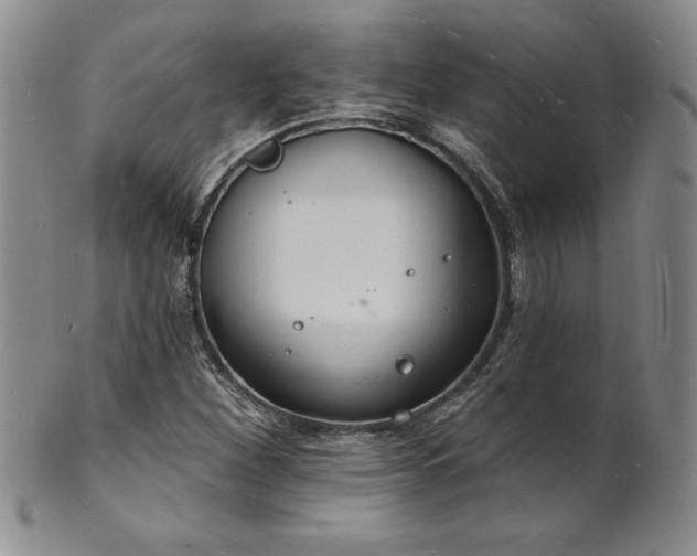 X0000101691260200807171427