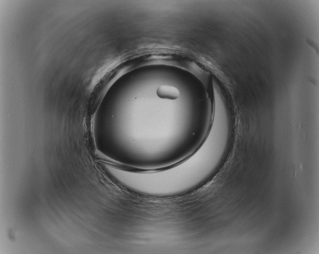 X0000101691261200807171427