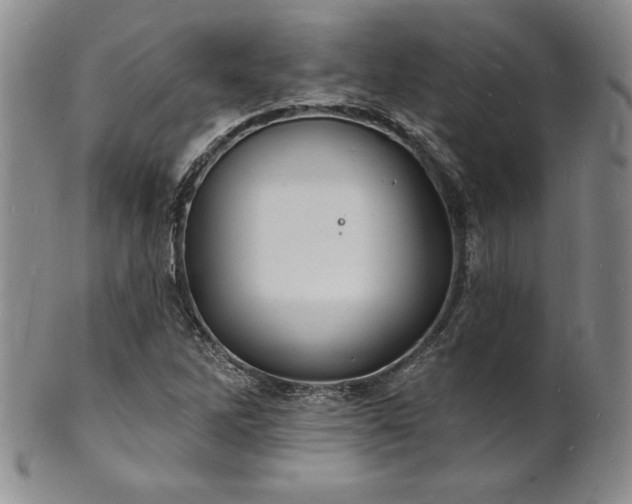 X0000101691262200807171427