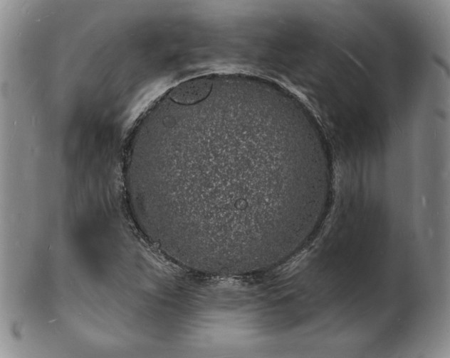 X0000101691263200807171427