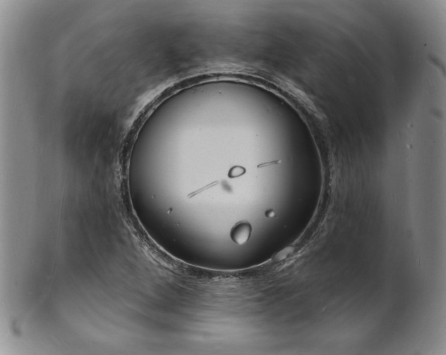 X0000101691264200807171427