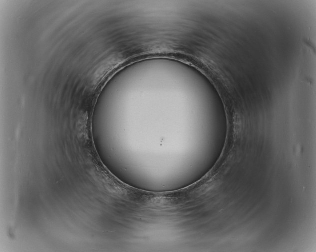 X0000101691265200807171427