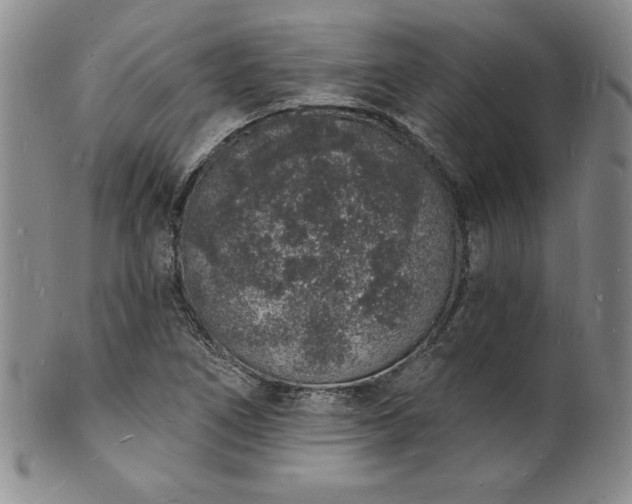 X0000101691266200807171427