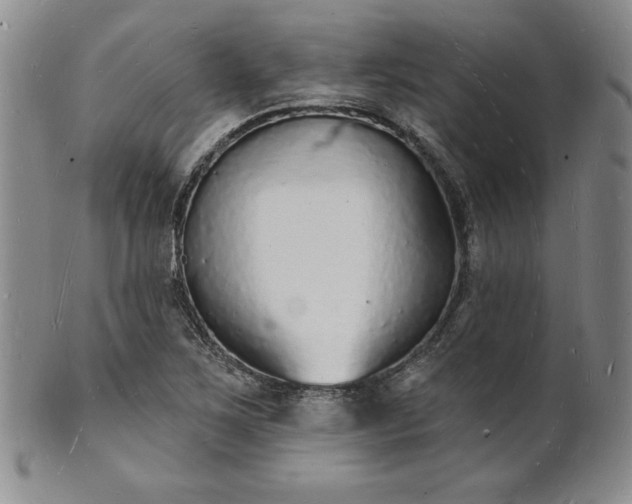 X0000101691267200807171427