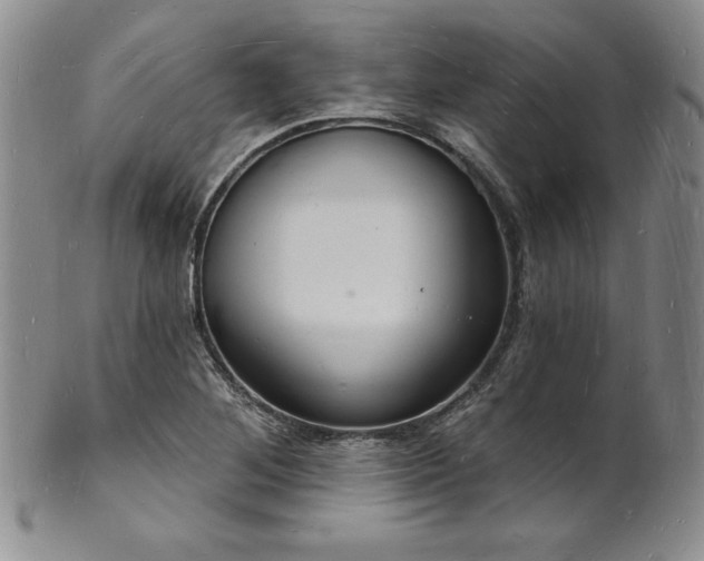 X0000101691268200807171427