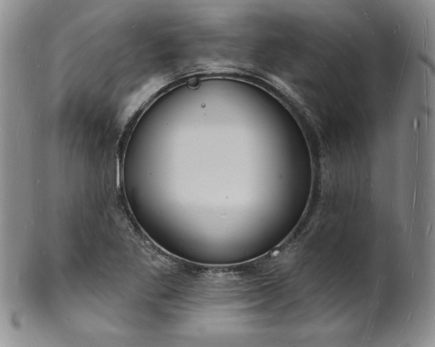 X0000101691269200807171427