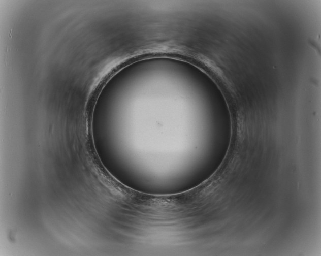 X0000101691270200807171427