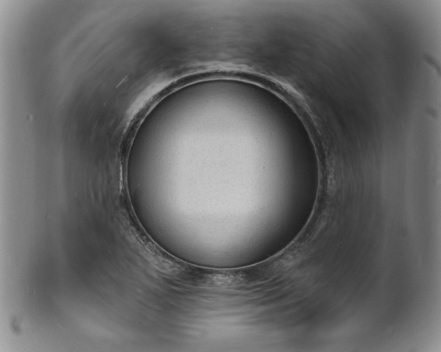 X0000101691271200807171427