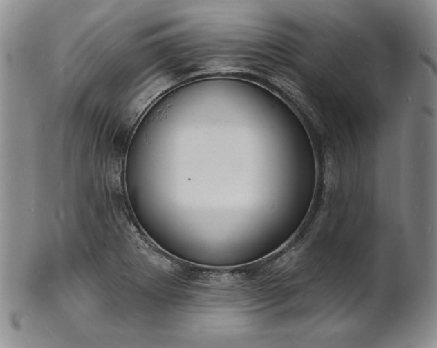 X0000101691273200807171427