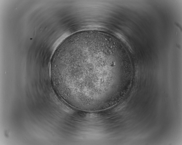 X0000101691275200807171427