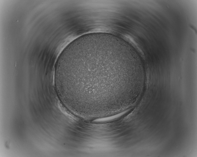 X0000101691276200807171427