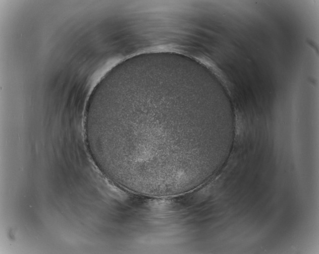 X0000101691278200807171427