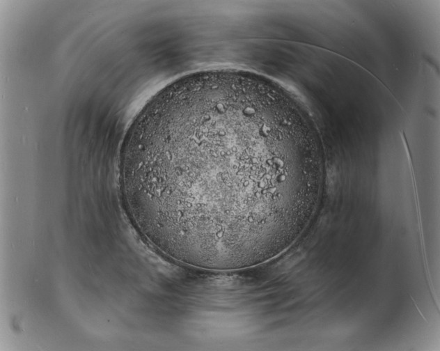 X0000101691279200807171427