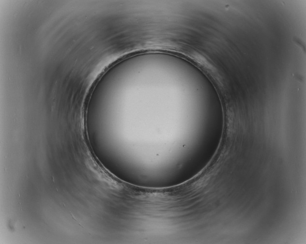 X0000101691280200807171427