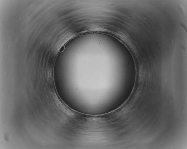 X0000101691281200807171427