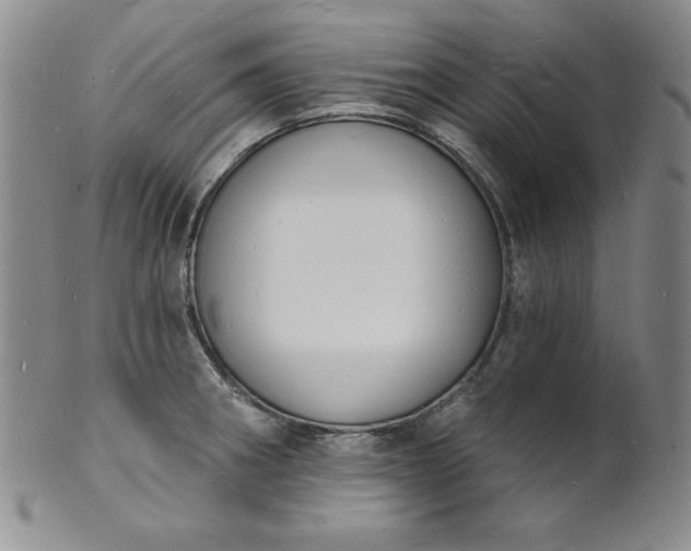 X0000101691282200807171427