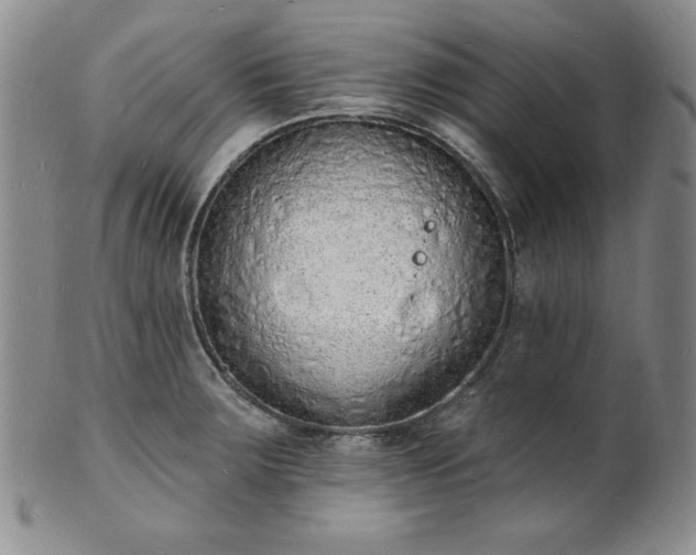 X0000101691283200807171427