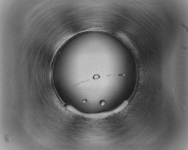 X0000101691284200807171427