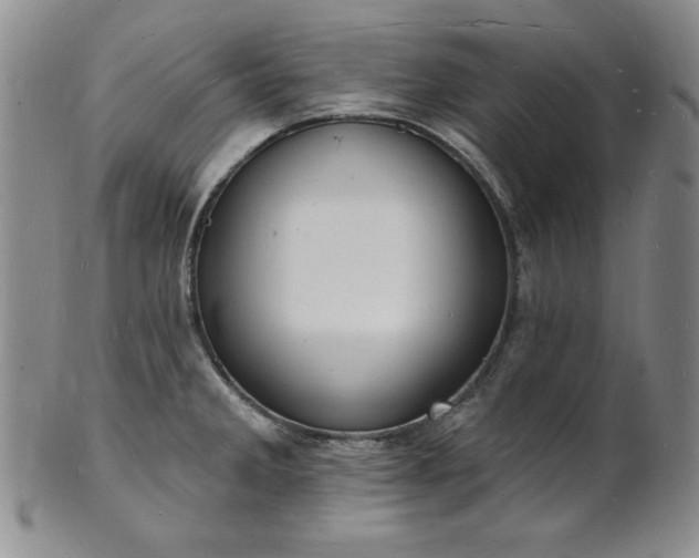 X0000101691285200807171427