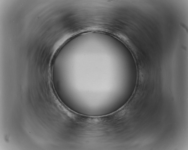 X0000101691286200807171427