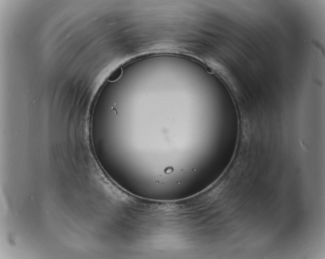 X0000101691288200807171427