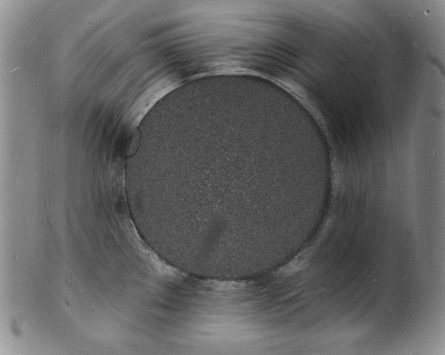 X0000101691289200807171427