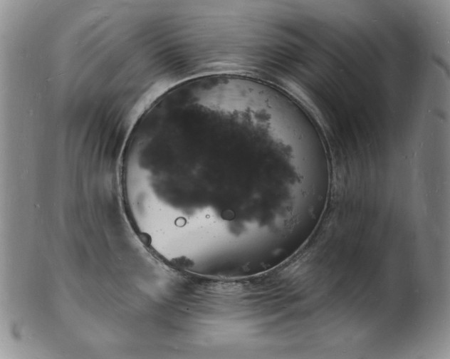 X0000101691291200807171427