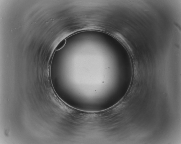 X0000101691292200807171427