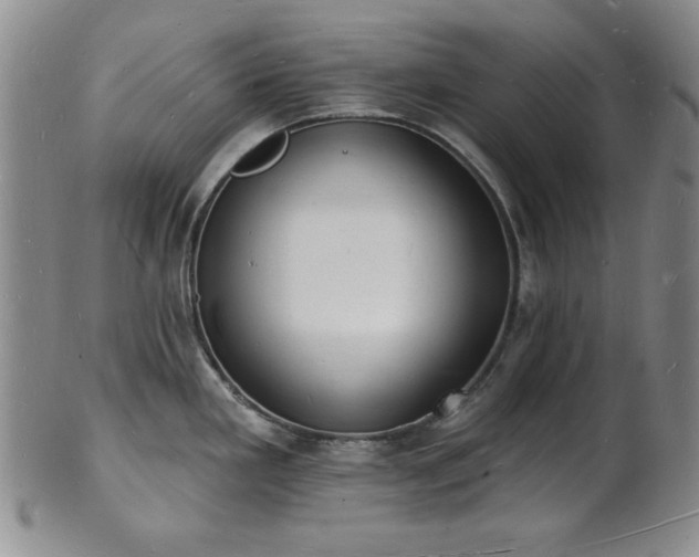 X0000101691293200807171427