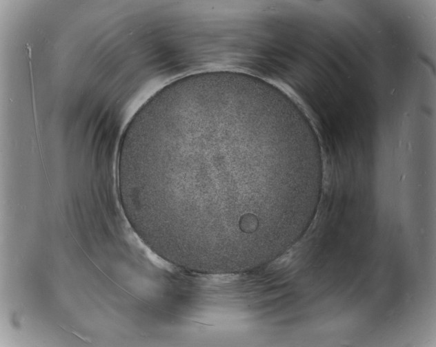 X0000101691294200807171427