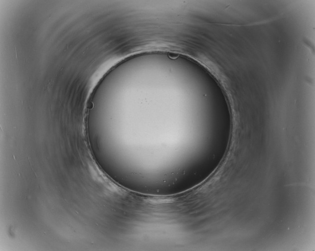 X0000101691296200807171427