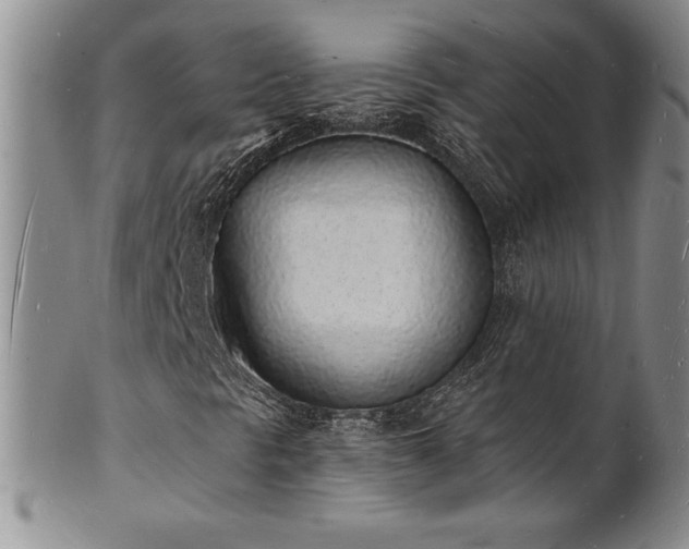 X0000101691297200807171426