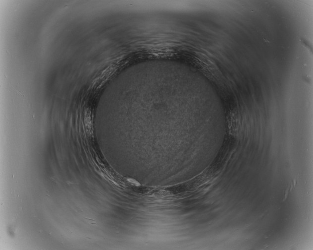 X0000101691298200807171426